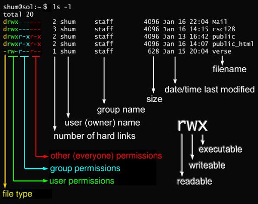 Linux 文件基本属性 - 图2