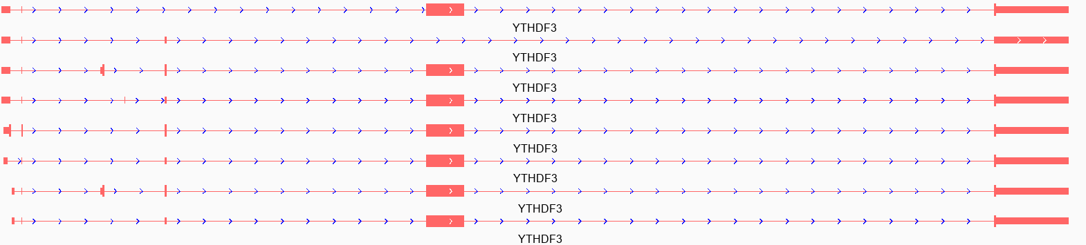 附近含有 m6A 修饰的 Stop Codon 序列提取 - 图2