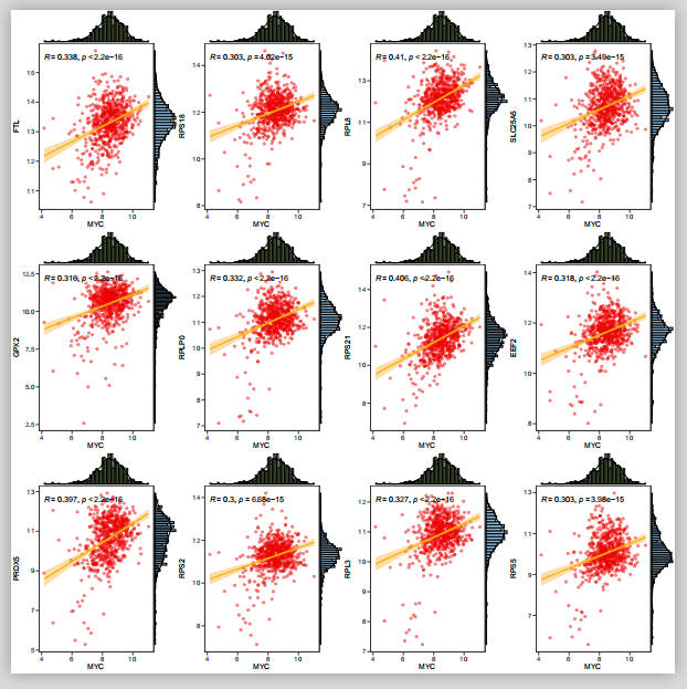 批量绘制单基因相关性图 - 图5