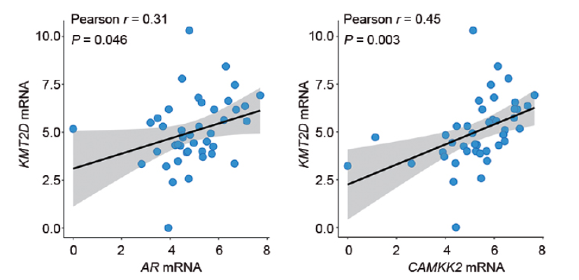 批量绘制单基因相关性图 - 图1