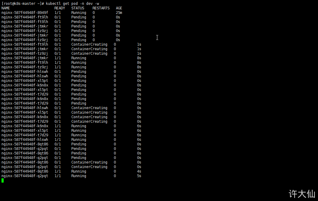 k8sPod控制器详解 - 图45