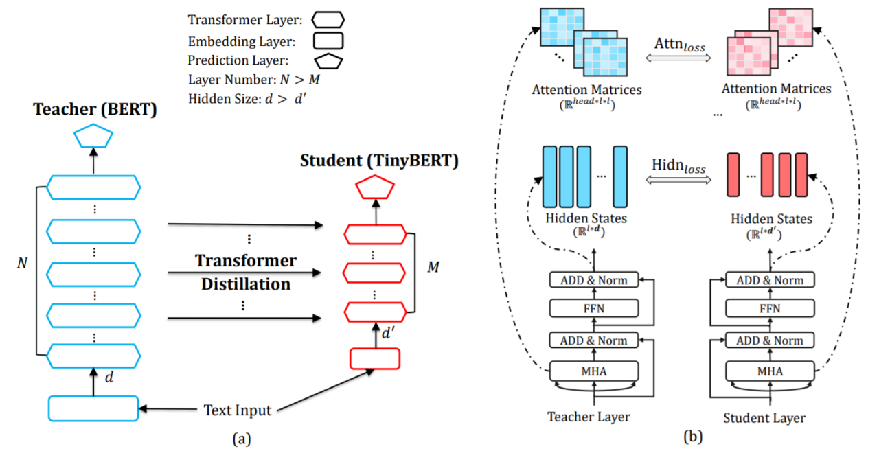 TinyBERT模型(理论) - 图1