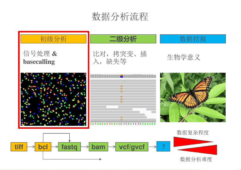 seq-1.png