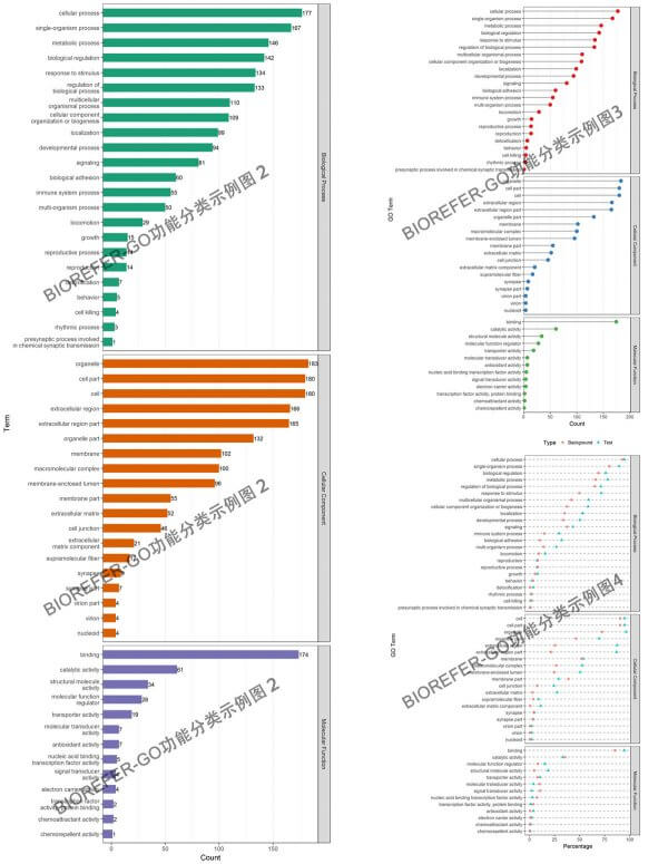 GO 功能富集分析结果绘图 R 代码 - 图2