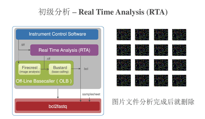 seq-2.png