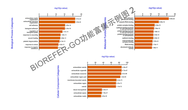 GO 功能富集分析结果绘图 R 代码 - 图6