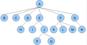 树、广度优先、深度优先 - 图1