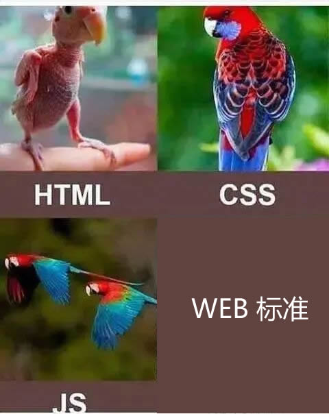 鸟.png