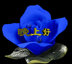 w.gif