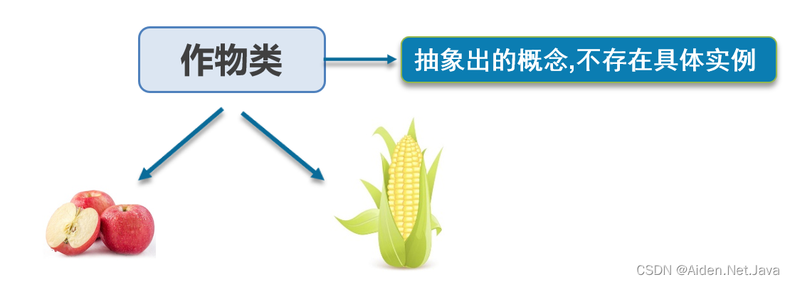 JavaOOP 抽象类和接口 - 图1