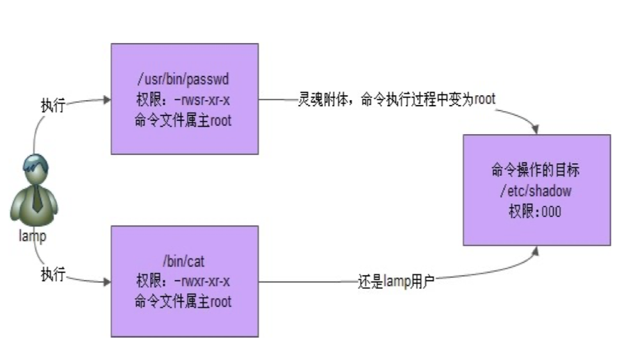 无标题 - 图7