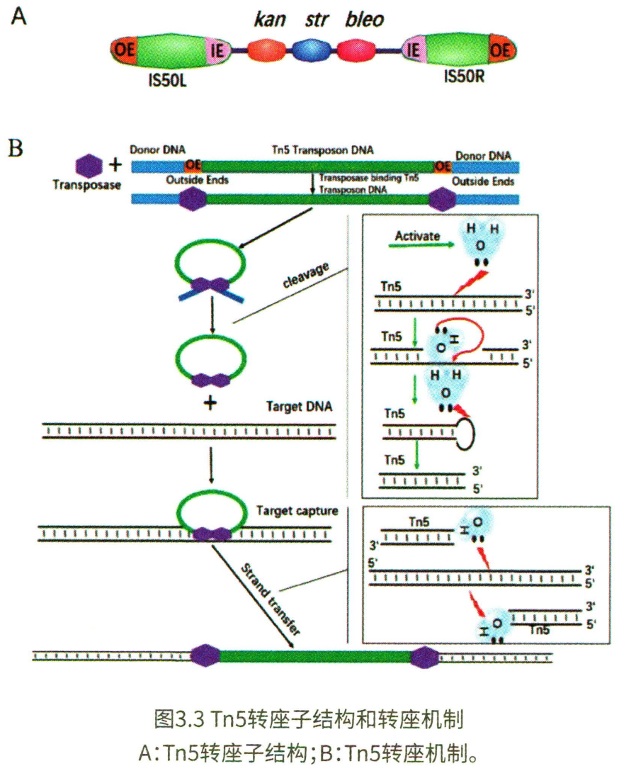 基础知识 | ATAC-seq - 图6