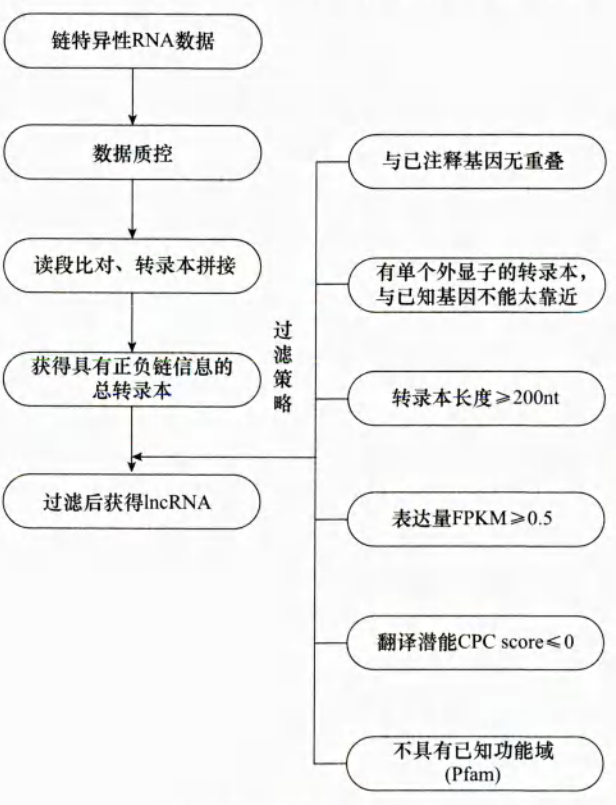 基础知识 | lncRNA - 图2