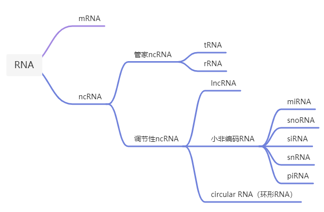 测序原理 | 非编码RNA - 图1