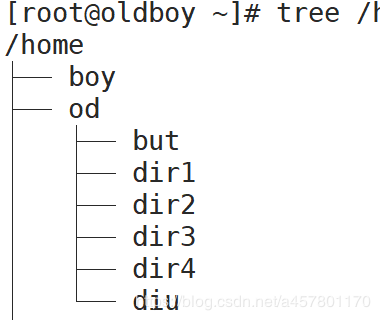 6. linux命令------文件管理touch mkdir mv cp rm - 图3