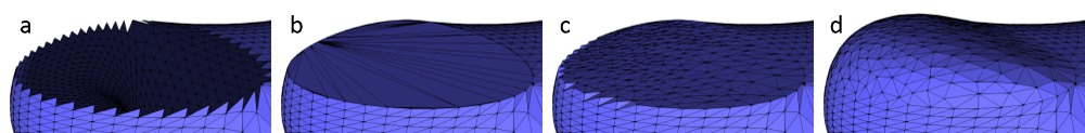 算法主要步骤的结果。从左到右：(a) 孔洞，(b) 三角化后的洞，(c) 三角剖分和细分后， (d) 三角剖分、细分和光顺后。
