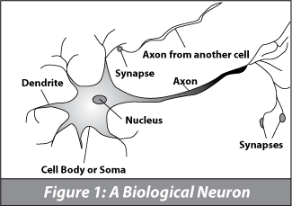 figure1.gif