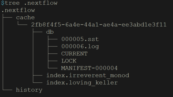 Nextflow学习 (一) 安装使用 - 图3