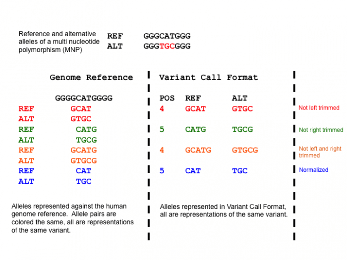 700px-Normalization_mnp.png