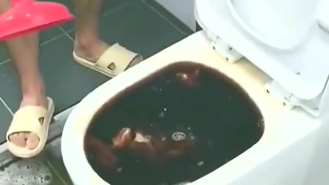 内容质量审核规范 - 图18