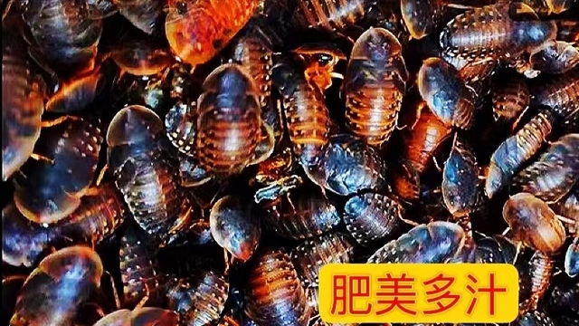 内容质量审核规范 - 图9