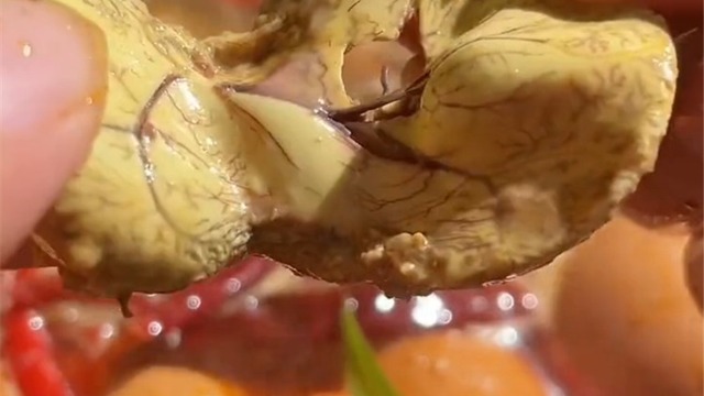 内容质量审核规范 - 图13
