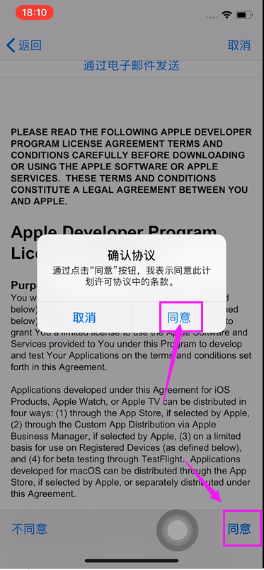 apple-18.png