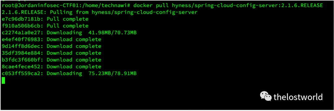 Spring Cloud Config 目录穿越漏洞(CVE-2020-5410) 复现 - 图2