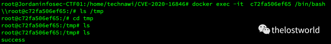 SaltStack Shell 注入 (CVE-2020-16846)漏洞复现 - 图6