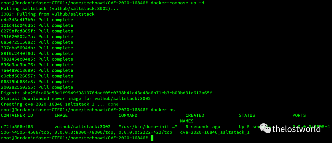 SaltStack Shell 注入 (CVE-2020-16846)漏洞复现 - 图3