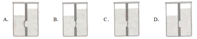 2022031702.png