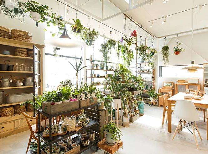 日本 | 10家杂货店 - 图8