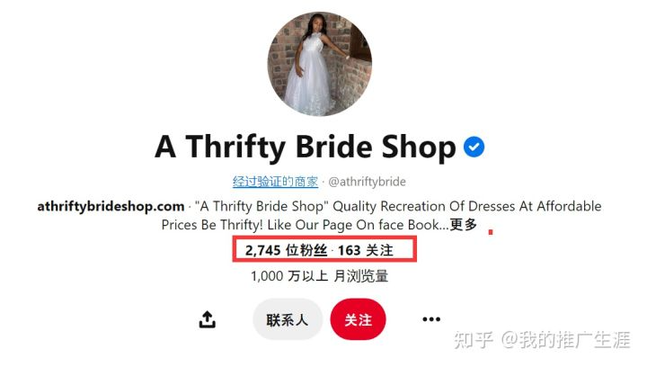 shopify独立站 - 图8