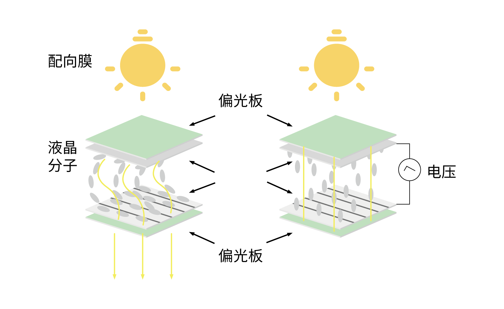 pico插图-09.png