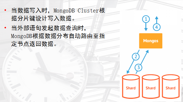 MangoDB - 图15