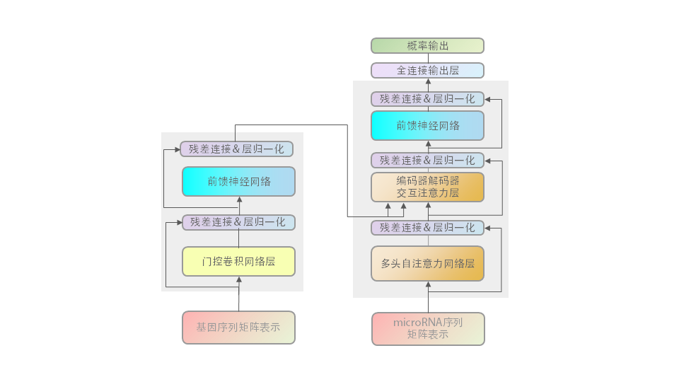 模型架构图.png
