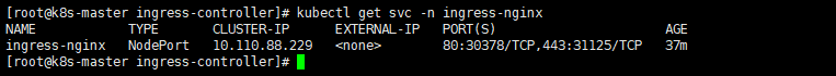 http代理之查看ingress-nginx的端口.png