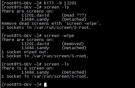 ssh 远程执行命令 screen - 图4