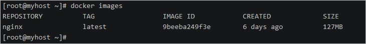 6. docker安装nginx - 图3