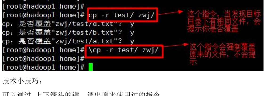 未命名图片.png