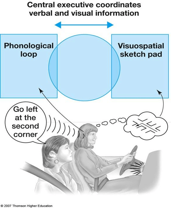 设计法则丨工作记忆模型 - 图3