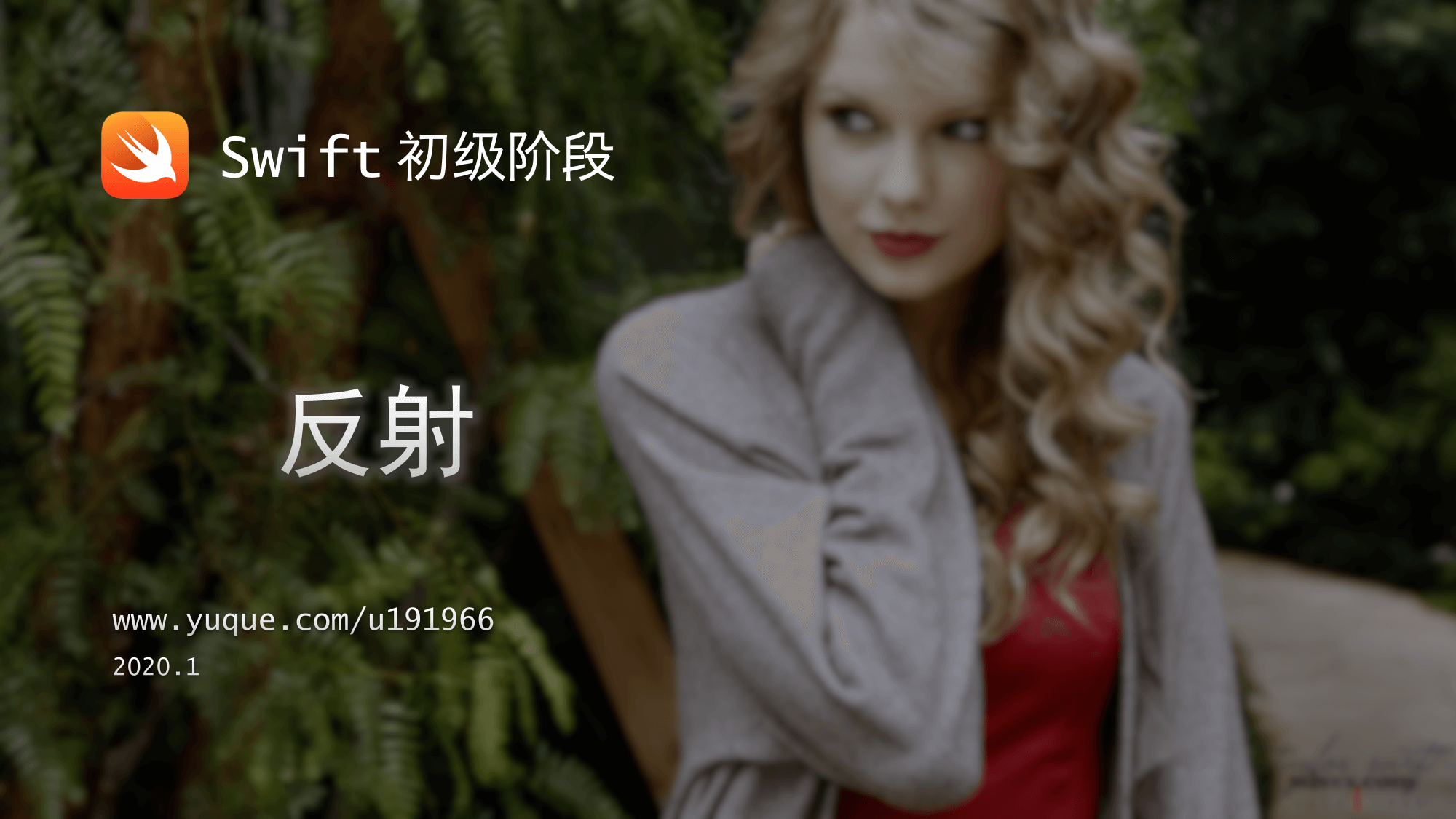 12. Swift 反射.png