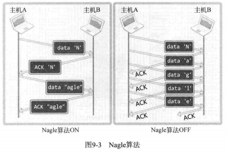 C09 套接字的多种可选项 - 图3