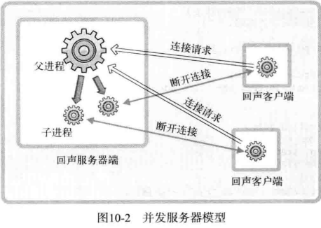 C10 多进程服务器端 - 图10