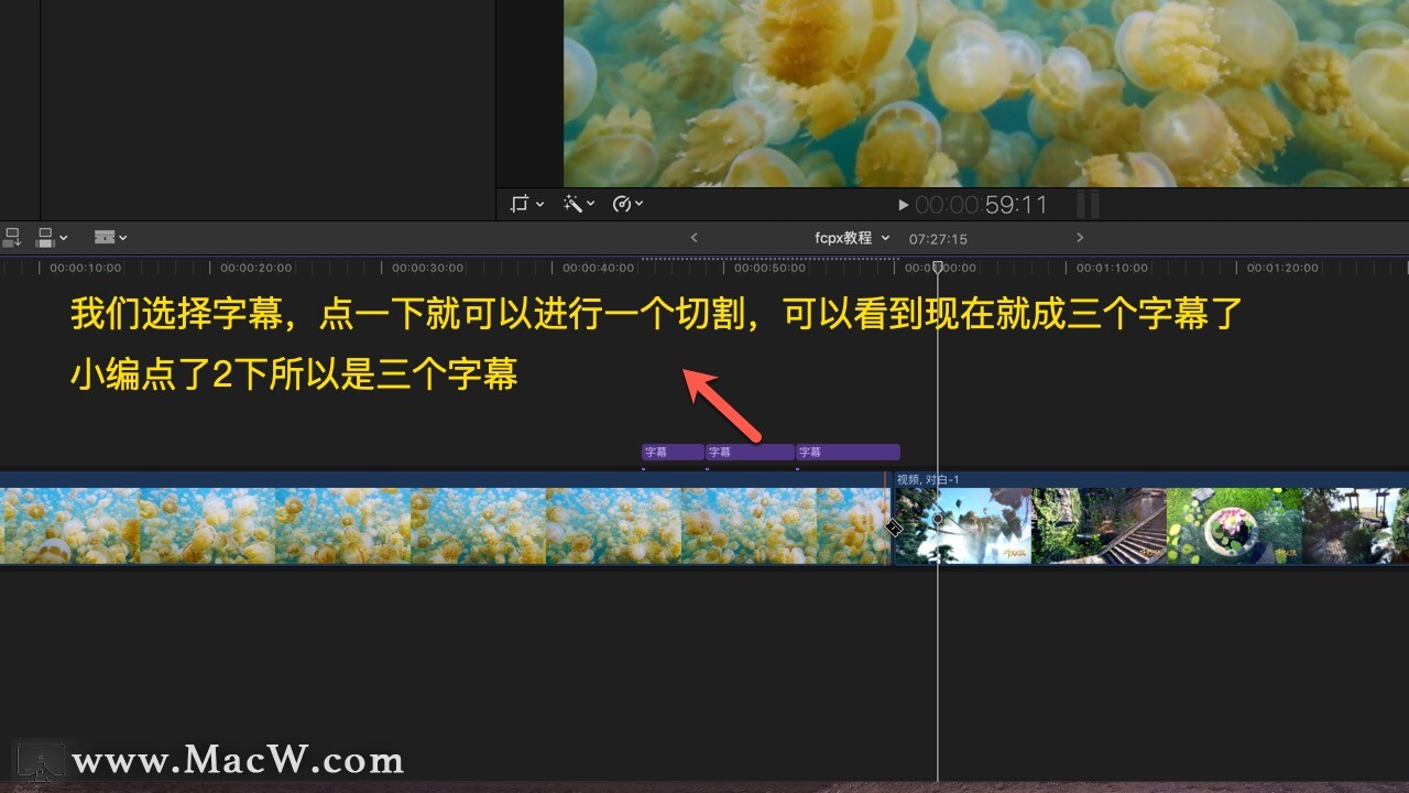 Final Cut Pro中文教程 (9) 工具栏的使用 - 图14