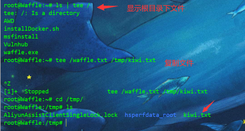 图片.png
