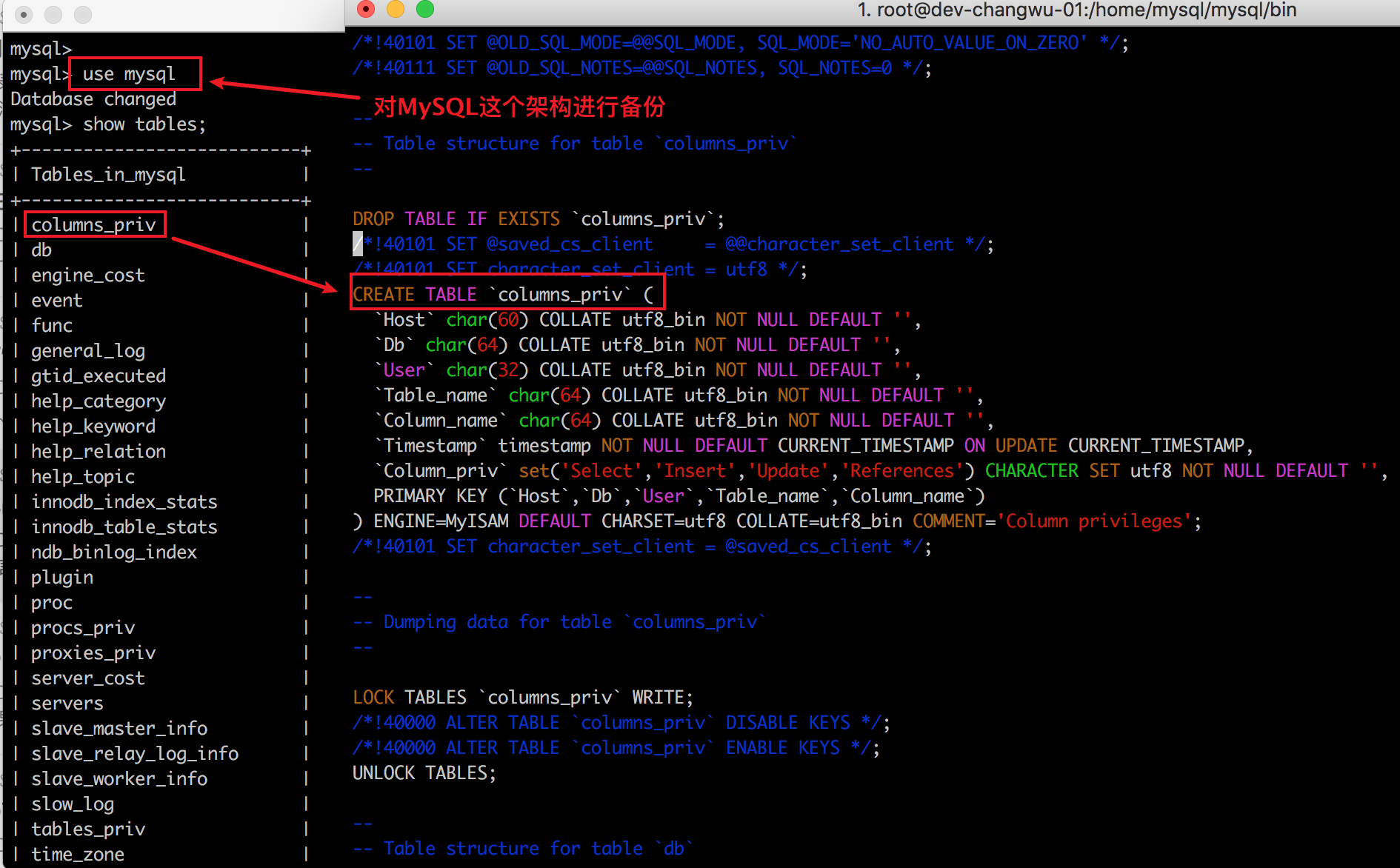 数据备份和恢复 - 图2