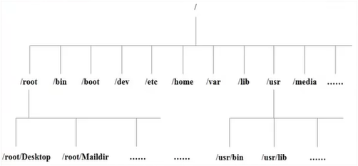 Linux目录结构 - 图1