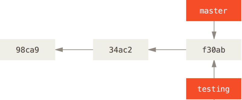 two-branches.png